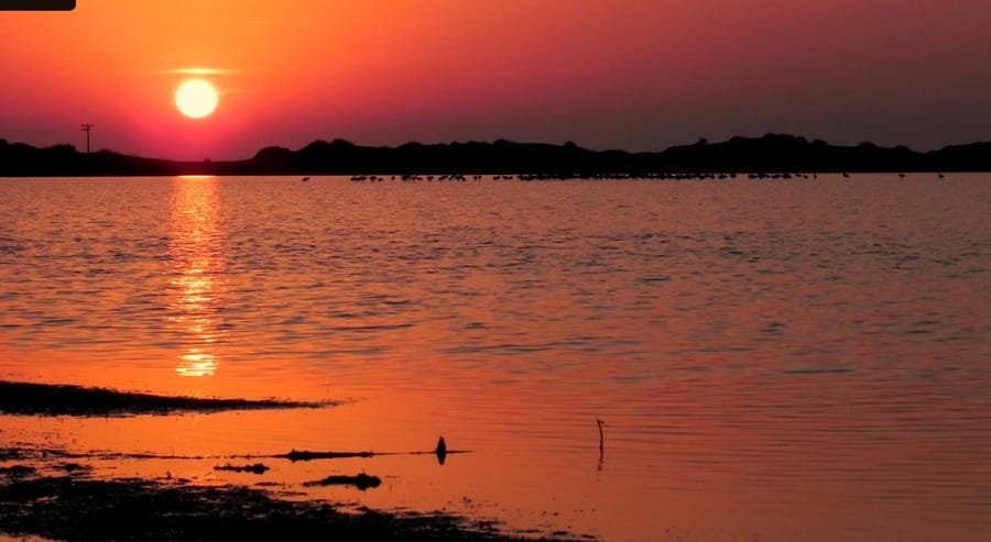 Adana Karataş Tuzla Milli Parkı Sahili Gezi ve Kamp Rehberi — Adana yüzme havuzu