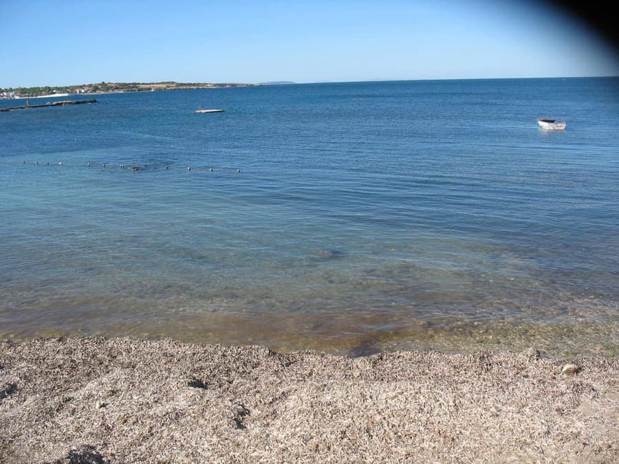 Vet-tur Sitesi — Aydın, Didim