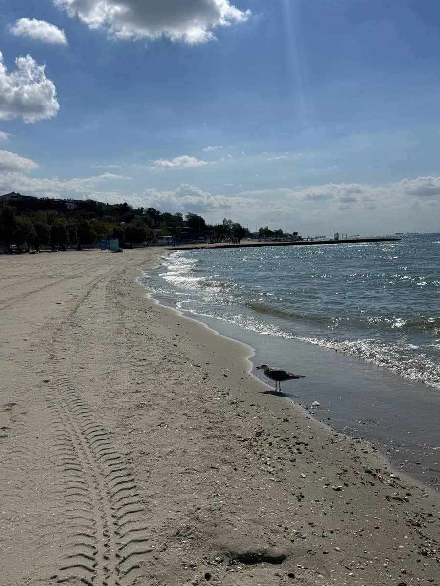 Menekse Plajı Cankurtaran Kulesı Önü — İstanbul, Küçükçekmece