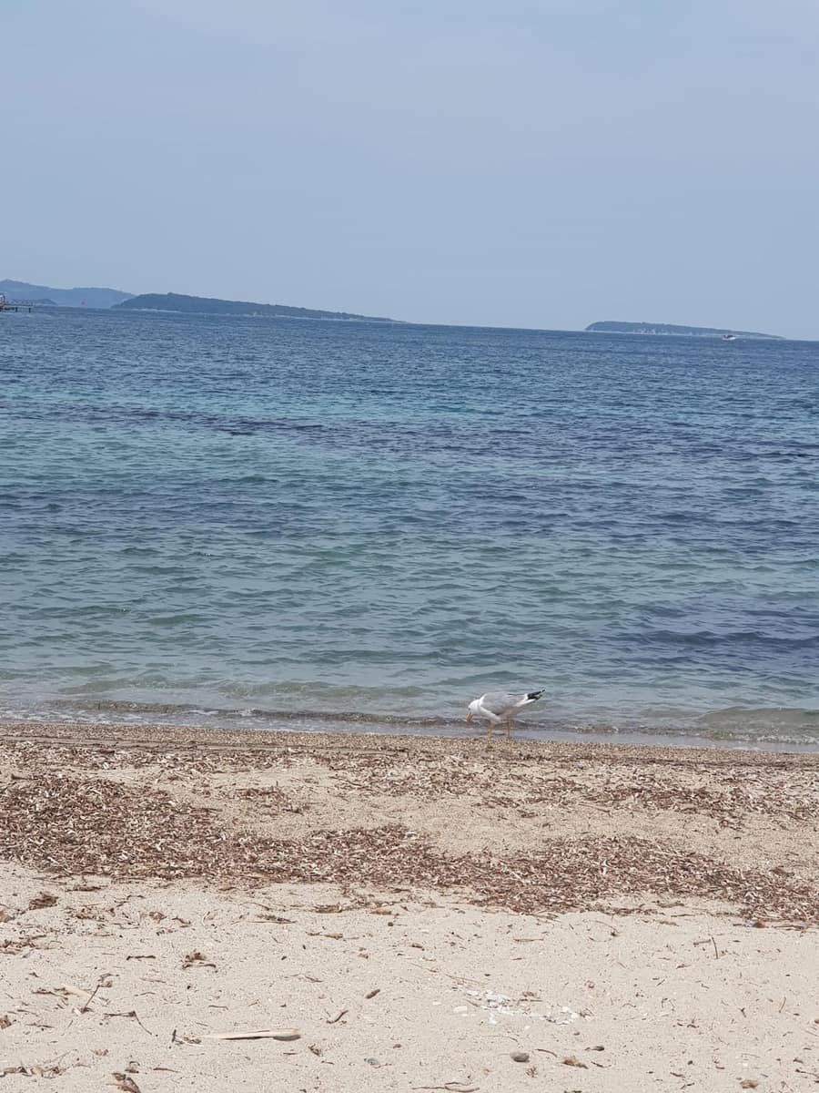 Gelinkaya Halk Plajı — İzmir, Urla