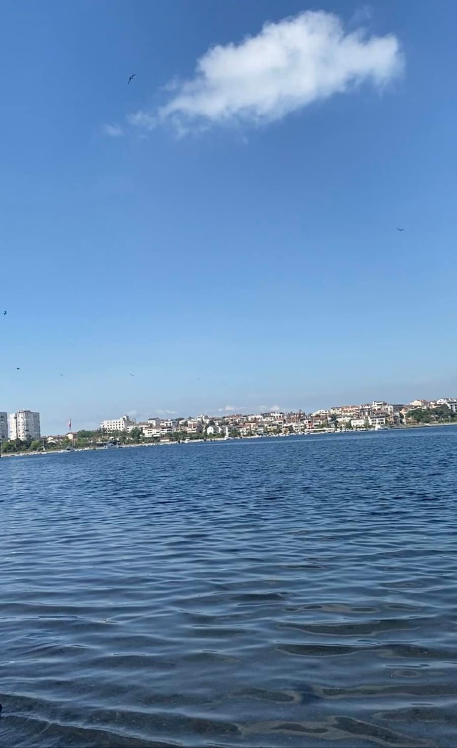 Balyanoz Koyu Plajı — Kocaeli, Darıca