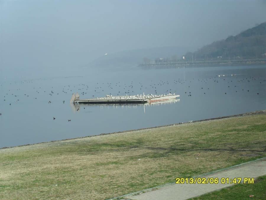 Eski Belediye Plajı — Sakarya, Sapanca