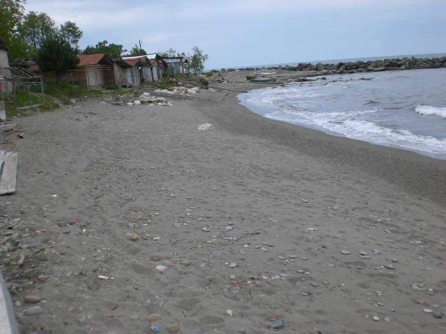 Alı Koyu — Sinop, Ayancık