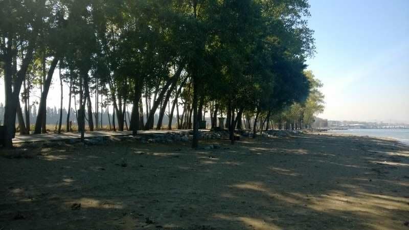 Arastırma Sahili Plajı — Yalova, Merkez